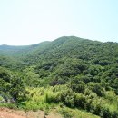 안사지목 위 이미지