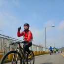 벚꽃로 | 보령호(주산벚꽃로)~춘장대 라이딩