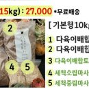 진토베기 Daum카페
