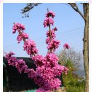 마전주유소 이미지