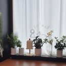 코지베이킹스튜디오 이미지