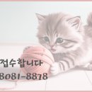 더우리부동산중개법인주식회사 | [대구 송백부동산중개법인]더파크수성못 현장 뷰--는 덤으로, 실거주/투자 완벽한 한정판 아파트