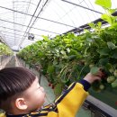 현이농장 이미지