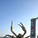 거일1리어촌체험휴양마을 이미지