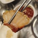 서귀포지역경찰대 ↔ 창훈이네식당 | 제주 서귀포 흑돼지맛집, 부드러움과 육즙깡패인 깡촌흑돼지 서귀포점 솔직후기