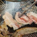 활활숯불 이미지