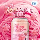 따스한봄날