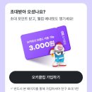 머니다방