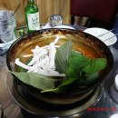 날아라 닭도리탕 이미지