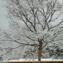 분천1리 이미지