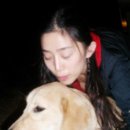 파트라슈 이미지