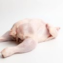 군산닭집 이미지