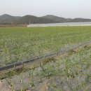 에프엠씨코리아 이미지