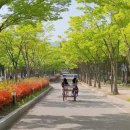인천남동사업소 | 인천대공원 자전거 대여 방법 및 필수 지참물 총정리