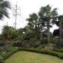 야자수정원 이미지