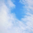 Marianne Faithfull - This Little Bird 이미지