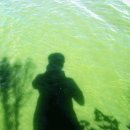 금강페인트 이미지