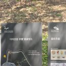 아차산성 뫼아리탐험대 등산 코스·역사·주차·전망까지 한 번에 정리