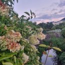 만천천길 이미지