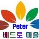 광주대교구 사제인사 / 청주교구, 춘천교구 사제인사이동 / 수원교구 사제인사 이미지