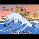 에버라이프