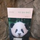 에버랜드 가면 꼭 가야하는 판다월드 리얼 방문후기/러바오 푸바오 만나기
