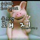 웃으면돼지 - 경주시 초당길23번길 25 | 웃으면돼지