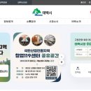 태백시청 국민일보