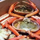 진세이로무시 이미지