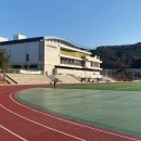 관저체육공원 Daum카페