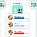 캐스트플립