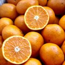 만수휘트니스 이미지