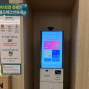 브라운도트거북섬점 이미지