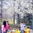 2002서울 이미지
