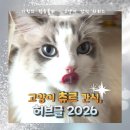 장모님치킨안의점 | 고양이 츄르 간식 시리즈 허브 2026, 추천·영양·키튼·기호성 후기 총정리