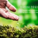 모아구제 이미지
