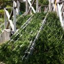 천사들의합창유치원 이미지