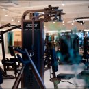 스테디 짐 이미지