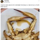 이탈리아산 블루크랩 간장게장 후기.jpg 이미지