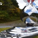 검룡소모뉴멘트 이미지