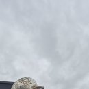 어느멋진날에 2 이미지