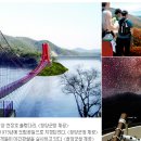 충남 청양, 칠갑산의 무대 - 구기자와 고추의 고장 (NAVER 아름다운 한국) 이미지