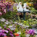 꽃으로 힐링 ** 이미지