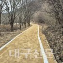 천년숲 이미지