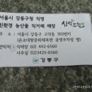 싱싱드림