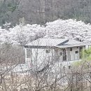 화개햇살민박