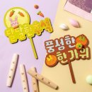 정해담다
