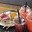 병영생숯불 | [일상] 제천 의림지, 베이커리이와정, 신상품준비, 알찬 2주,프리랜서 일상