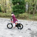 미조하나어린이집 | 5세자전거 로얄베이비 플라잉베어 16인치 미조립 자전거 사용후기