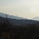 박달봉 Daum카페